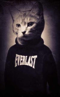 Богдан Музыченко