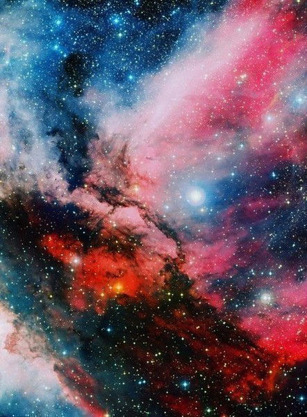 Екатерина Апанасевич