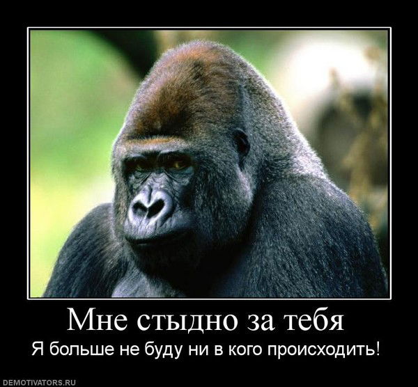 Иван Имшенецкий