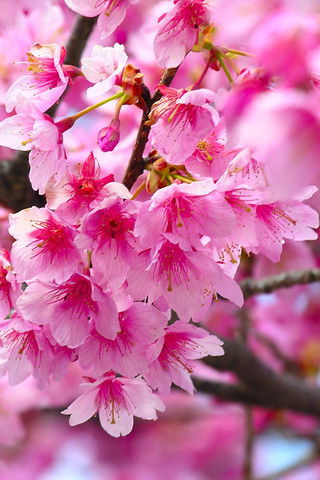 Людмила Иванова