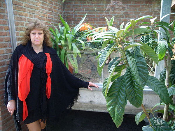 Надежда Зимон