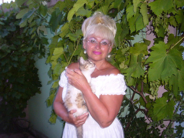 Покровитель Собак И Котов