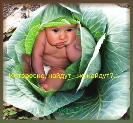 Миша Завадский