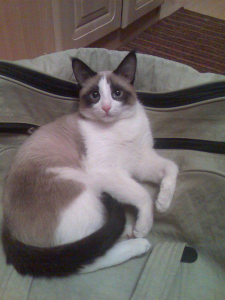 Татьяна Данилова