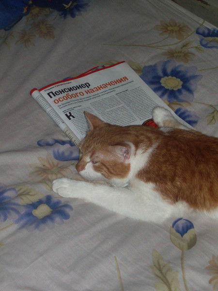 Василий Плохих