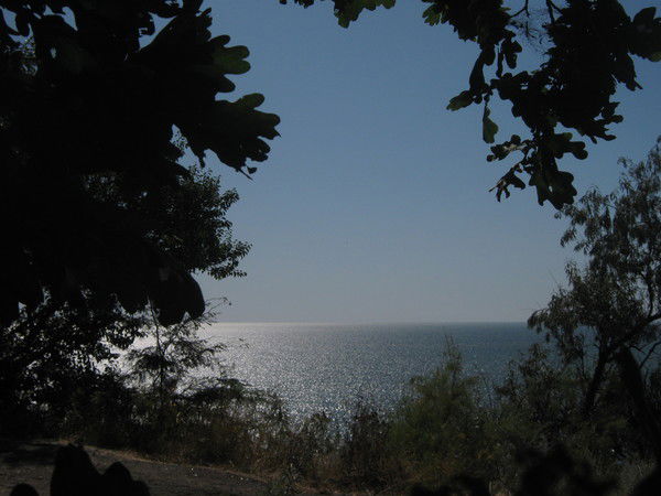 Инна Носова