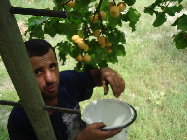 Магомедали Магомедалиев