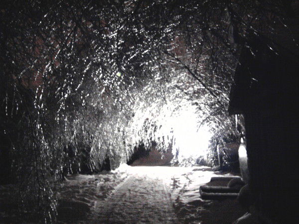 Вячеслав Кожанов