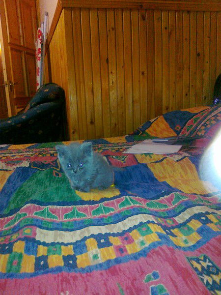 Татьяна Неняева