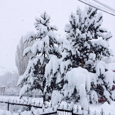 Саркан Райстат Управ