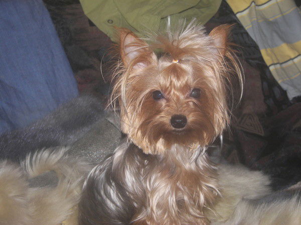 Макаревич Виктория