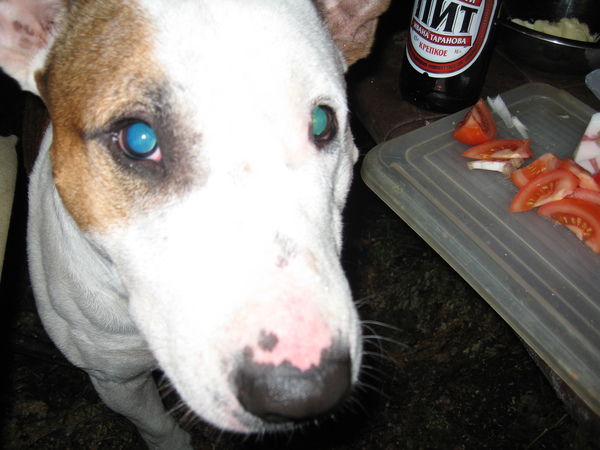 Влад Горожанкин