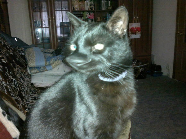 Стас Побережный