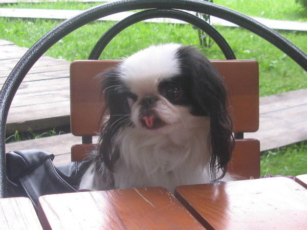 Анастасия Журавлева