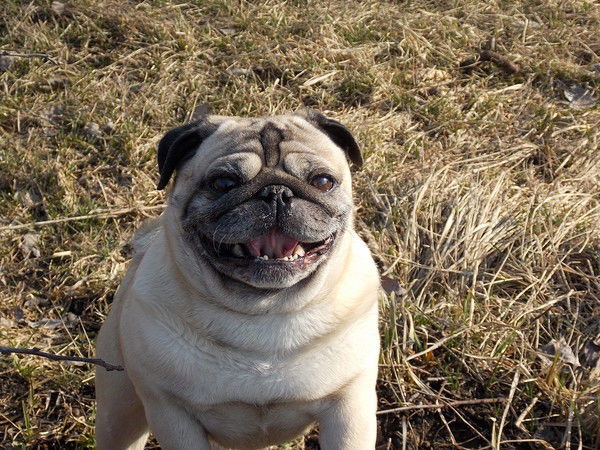 Алина Воронова