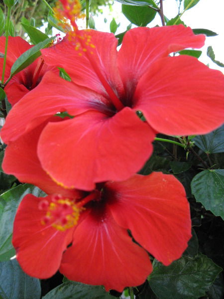 Любовь Кузнецова