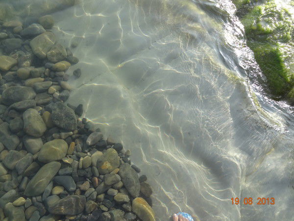 Елена Данилина