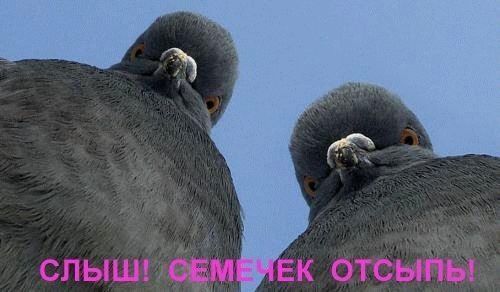 Денис Процветкин