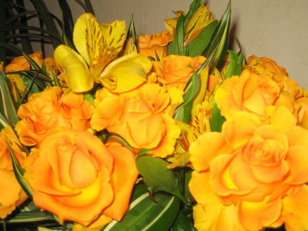 Наталья Дуброва