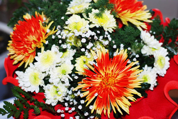 Татьяна Ким