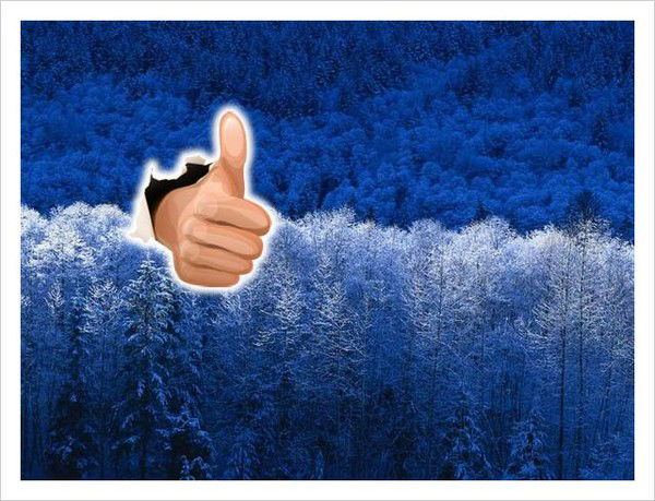 Денис Борзый