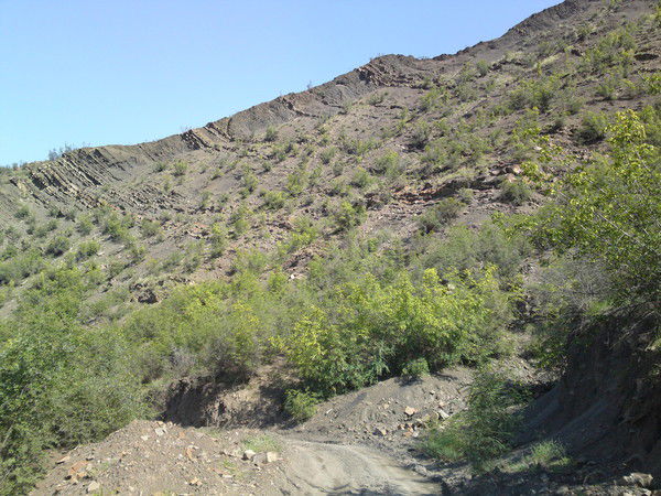 Абдулбасир Камильбеков