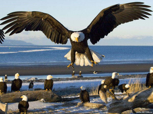 Ерлан Туберов