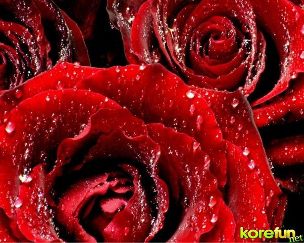 Асия Бисенова