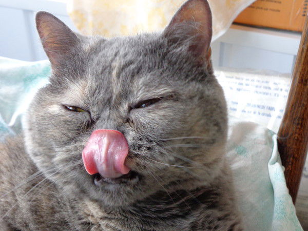 Наталья Москалева