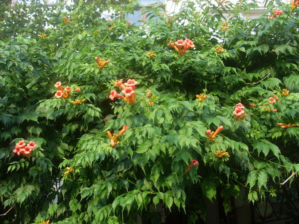 Руслан Неизвестно