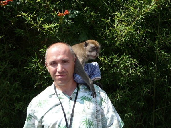 Константин Мартыненко