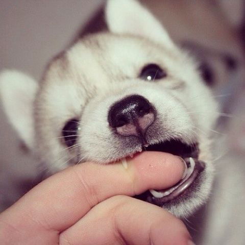 Лидия Калинова