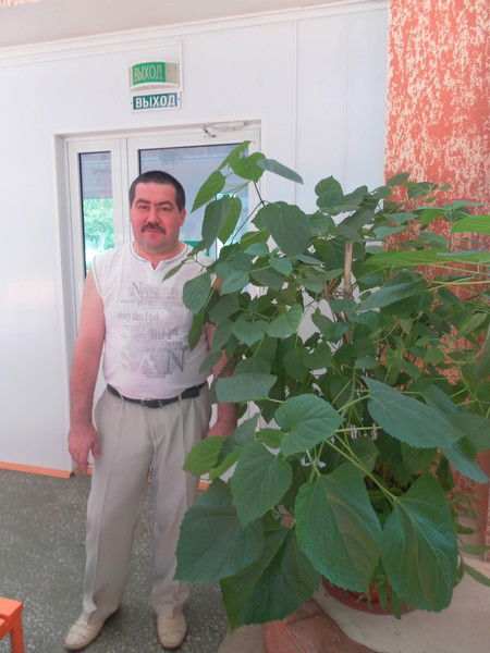 Талгат Сайфуллин