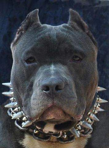 Кириакиди Степан