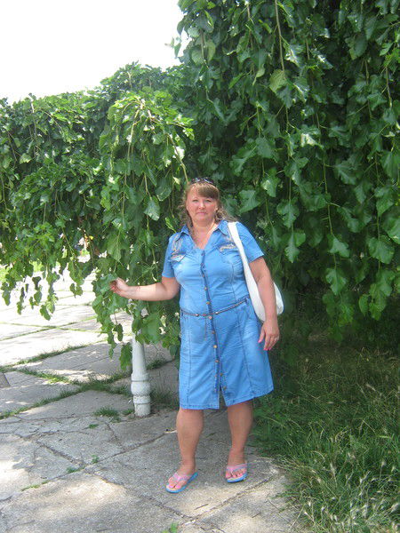 Светлана Светлана