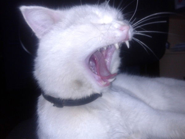 Андрей Кислов