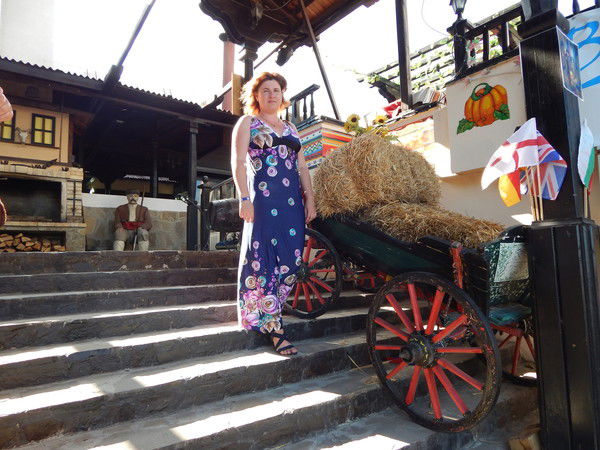 Лена Панина