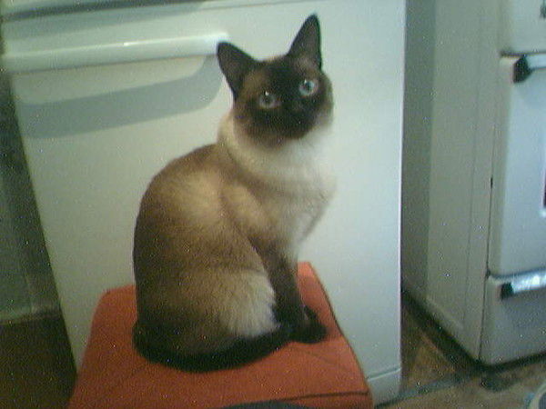 Юрий Кочугуров