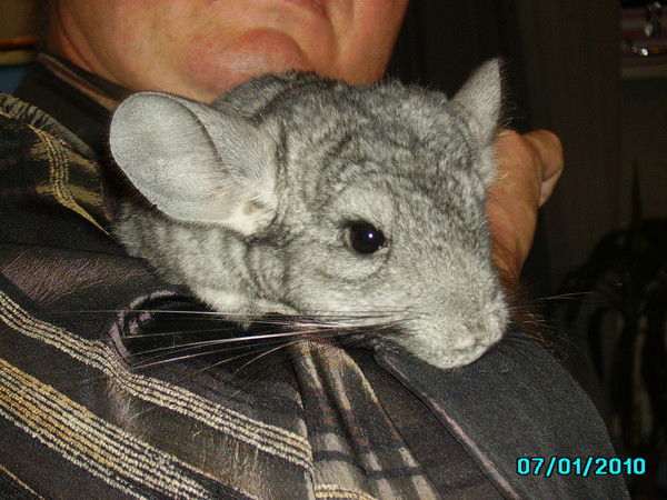 Александр Мальцев