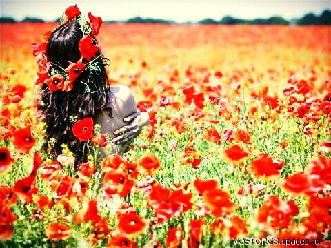 Боталова Елена