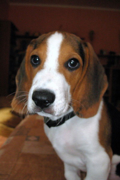 Марина Александрова