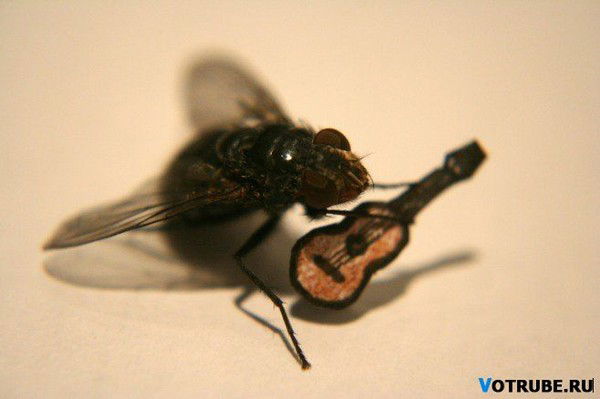 Михаил Мухин