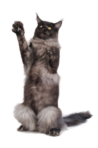 Юрий Магденко