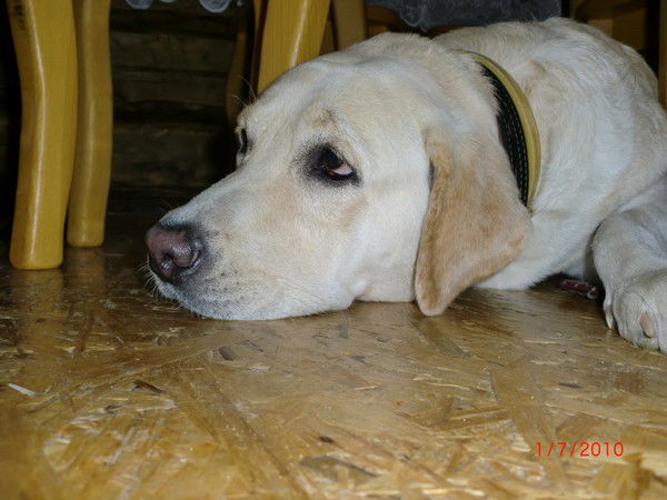 Любовь Вишнякова