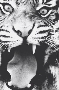 Яна Чередник