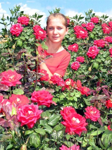 Оксана Ошмарина