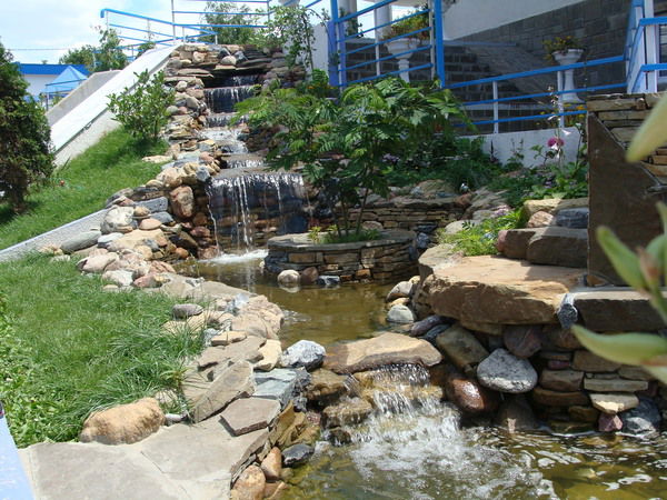 Цыгвинцева Людмила