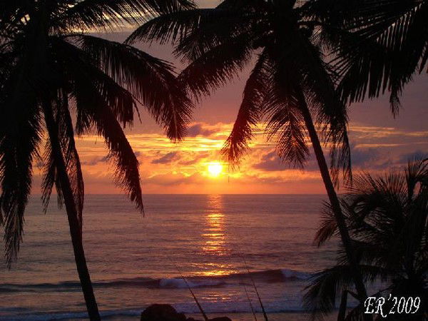 Алла Новикова