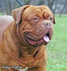 Владислав Критский