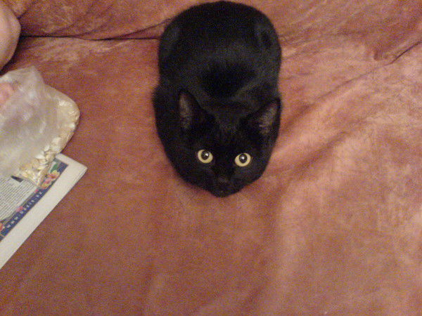 Татьяна Казбековна